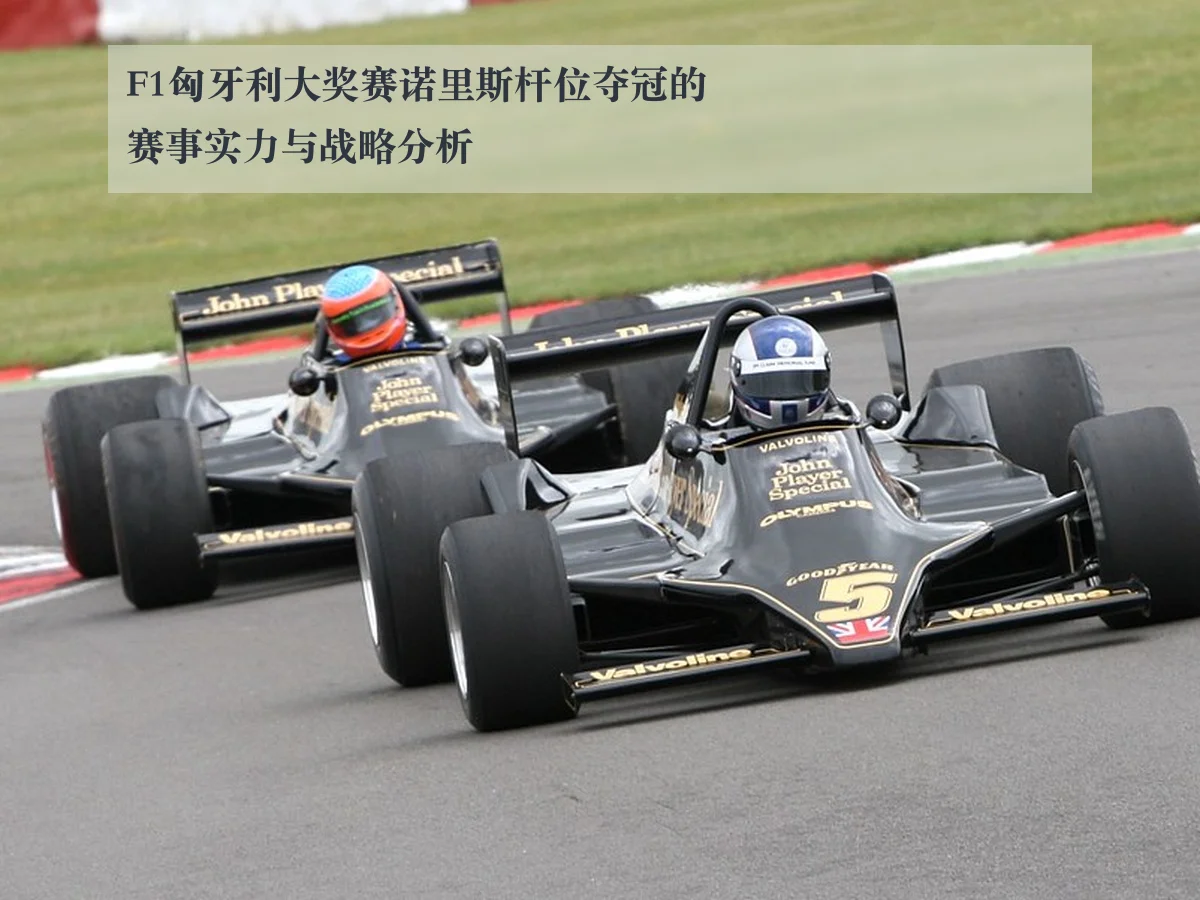 F1匈牙利大奖赛诺里斯杆位夺冠的赛事实力与战略分析